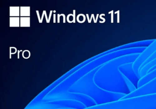 Windows 11 Pro